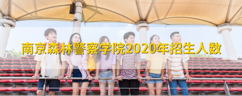 南京森林警察學(xué)院2020年招生人數(shù)