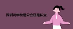 深圳灣學(xué)校是公立還是私立