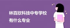 林百欣科技中專學(xué)校有什么專業(yè)