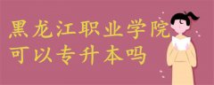 黑龍江職業(yè)學(xué)院可以專升本嗎