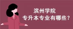 濱州學(xué)院專升本專業(yè)有哪些