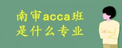 南審acca班是什么專業(yè)