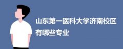 山東第一醫(yī)科大學濟南校區(qū)有哪些專業(yè)
