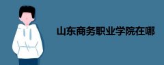 山東商務(wù)職業(yè)學(xué)院在哪