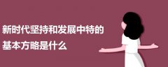 新時代堅持和發(fā)展中特的基本方略是什么