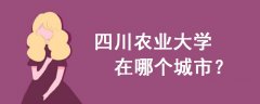 四川農(nóng)業(yè)大學(xué)在哪里個城市