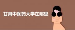 甘肅中醫(yī)藥大學(xué)在哪里