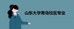 山東大學(xué)青島校區(qū)專業(yè)