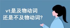 vt是及物動(dòng)詞還是不及物動(dòng)詞