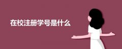 在校注冊學號是什么