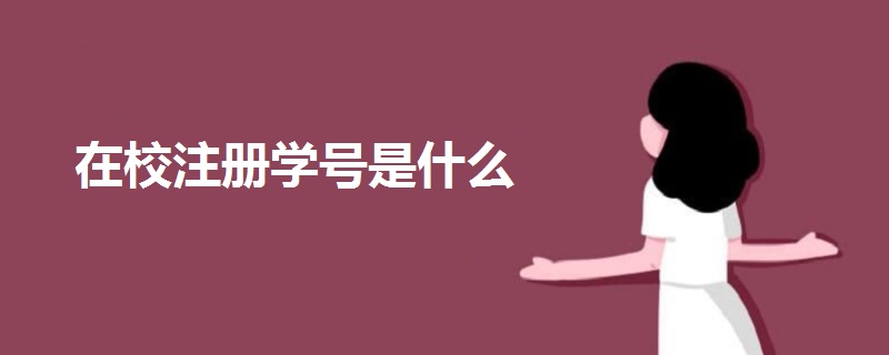 在校注冊學號是什么