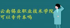 云南錫業(yè)職業(yè)技術學院可以專升本嗎