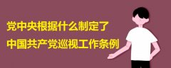 黨中央根據(jù)什么制定了中國共產(chǎn)黨巡視工作條例