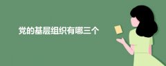 黨的基層組織有哪三個