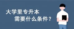 大學(xué)里專升本需要什么條件