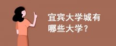 宜賓大學(xué)城有哪些大學(xué)