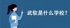武軟是什么學(xué)校