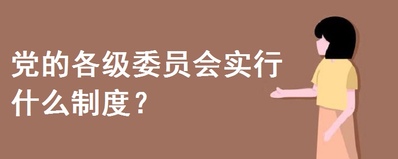黨的各級委員會實(shí)行什么制度