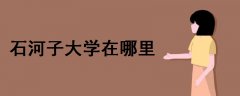 石河子大學(xué)在哪里