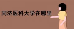 同濟醫(yī)科大學(xué)在哪里