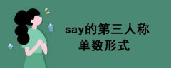 say的第三人稱單數(shù)形式