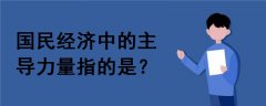 國(guó)民經(jīng)濟(jì)中的主導(dǎo)力量指的是()。
