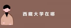 西藏大學(xué)在哪