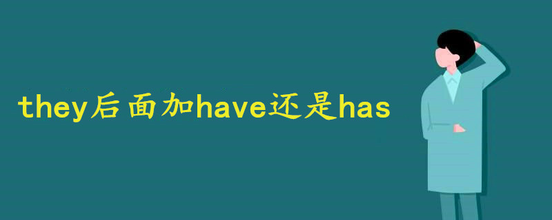 they后面加have還是has