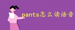 pants怎么讀語(yǔ)音