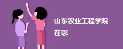 山東農(nóng)業(yè)工程學(xué)院在哪