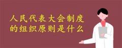 人民代表大會制度的組織原則是什么