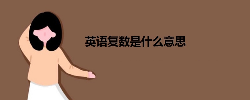英語復數(shù)是什么意思