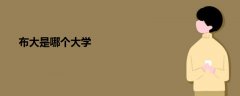 布大是哪個(gè)大學(xué)