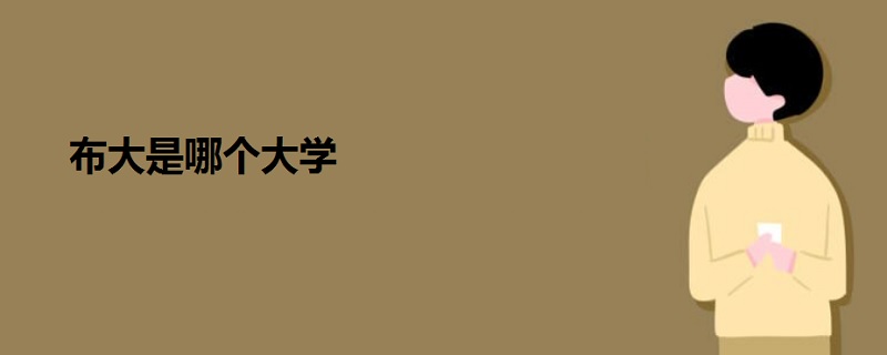 布大是哪個大學(xué)