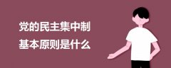 黨的民主集中制基本原則是什么