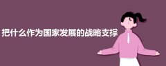 把什么作為國家發(fā)展的戰(zhàn)略支撐