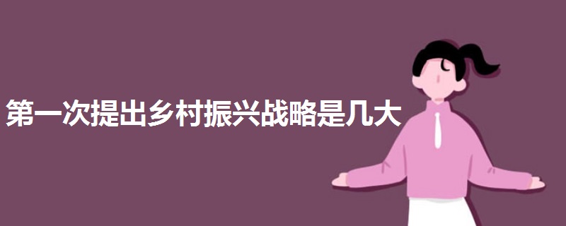 第一次提出鄉(xiāng)村振興戰(zhàn)略是幾大