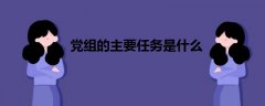 黨組的主要任務(wù)是什么