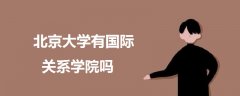 北京大學有國際關系學院嗎