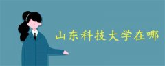 山東科技大學在哪