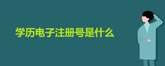 學(xué)歷電子注冊號是什么