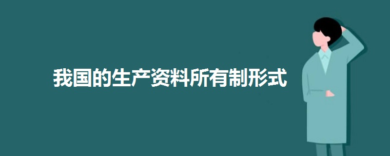 我國的生產(chǎn)資料所有制形式