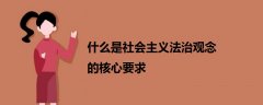 什么是社會主義法治觀念的核心要求