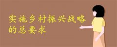 實(shí)施鄉(xiāng)村振興戰(zhàn)略的總要求