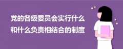 黨的各級(jí)委員會(huì)實(shí)行什么和什么負(fù)責(zé)相結(jié)合的制度