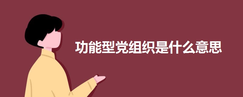 功能型黨組織是什么意思