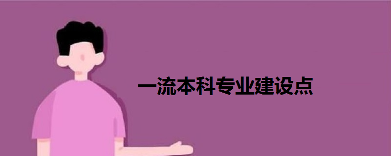 一流本科專(zhuān)業(yè)建設(shè)點(diǎn)