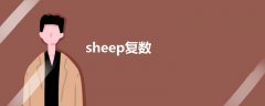 sheep復(fù)數(shù)