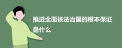 推進(jìn)全面依法治國的根本保證是什么