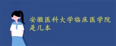 安徽醫(yī)科大學(xué)臨床醫(yī)學(xué)院是幾本